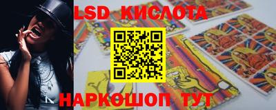 индика Бийск