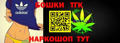 индика Бийск