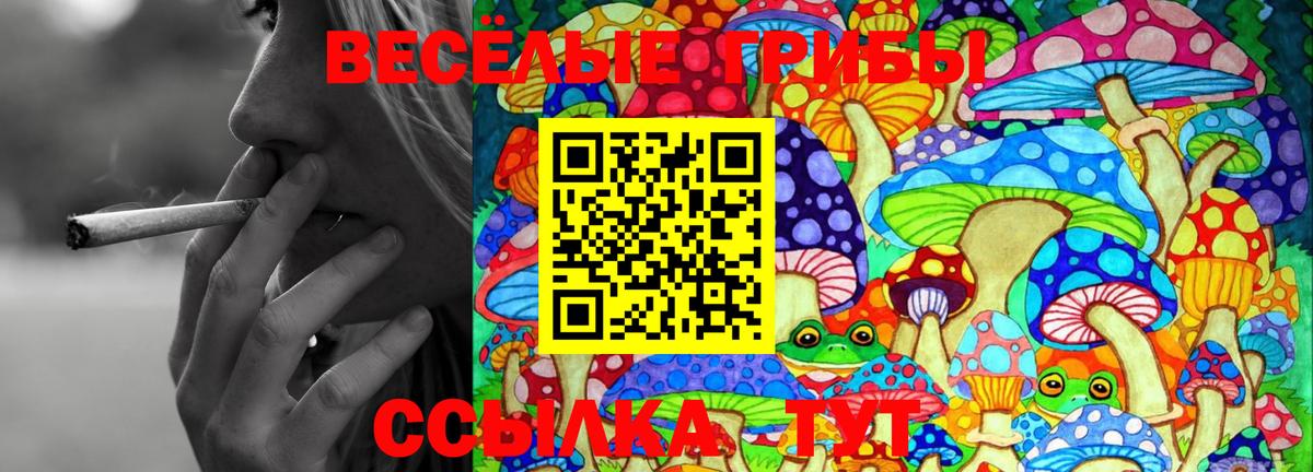 Галлюциногенные грибы GOLDEN TEACHER  Вход с VPN  Балаково 